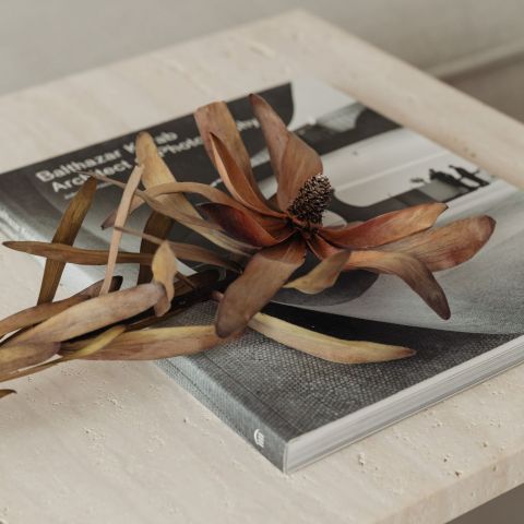 Harlow Magazine and dried flowers on a stone coffee table