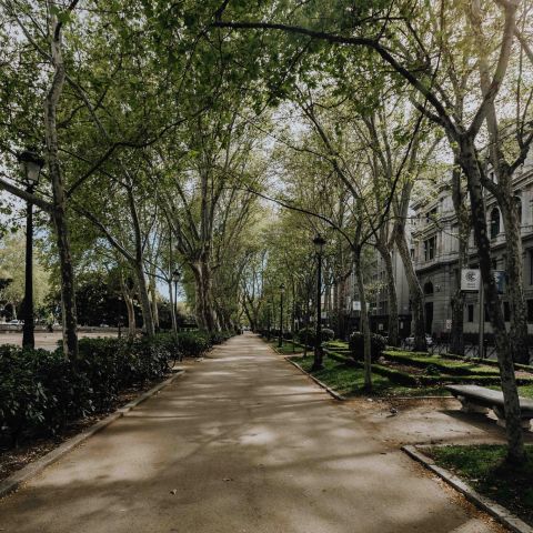 Harlow quiet tree-lined street with Greenway