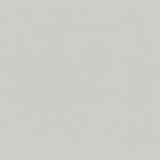 White, lightly textured background resembling paper or a subtle wall surface, with no distinguishable objects.